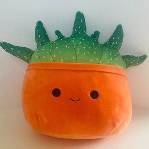 12" Succulent Squishmallow